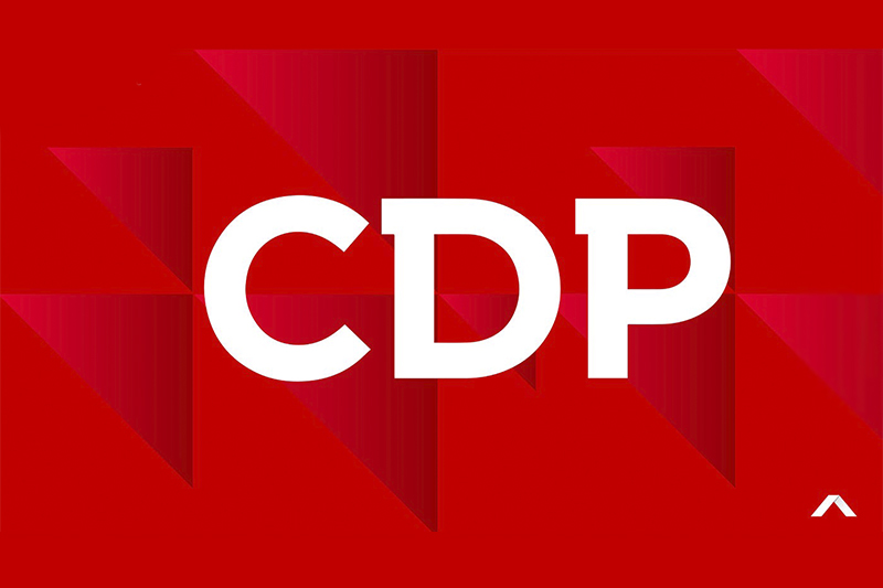 CDP (Karbon Saydamlık Projesi) danışmanlık hizmeti